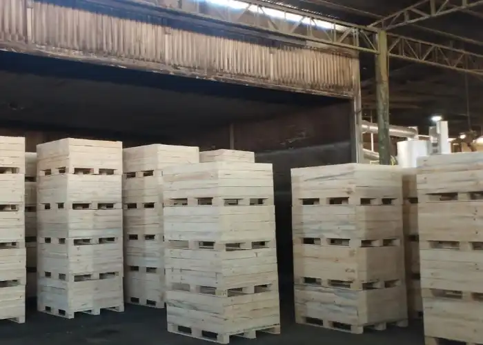 bins de madera
